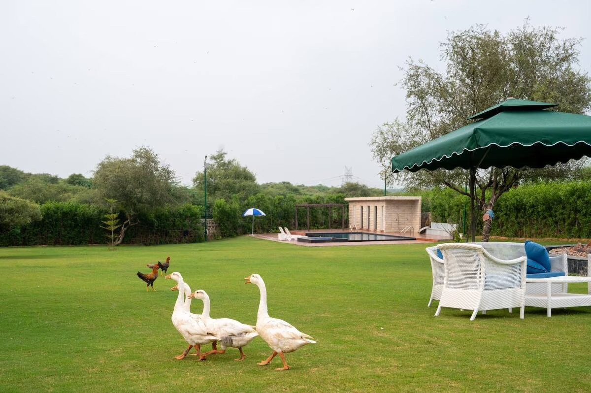 Attraction Image