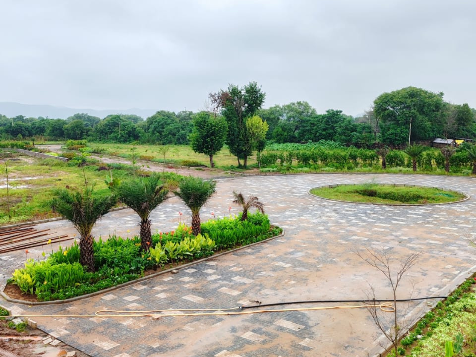 Palatial Farms